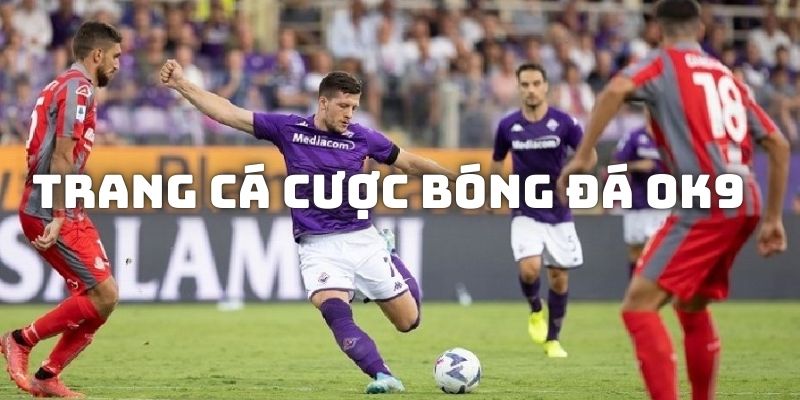 Trang Cá Cược Bóng Đá - OK9 Phủ Sóng Toàn Châu Á Vài nét cơ bản về sân chơi đánh bóng trực tuyến OK9